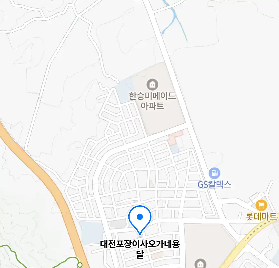 대전포장이사오가네용달