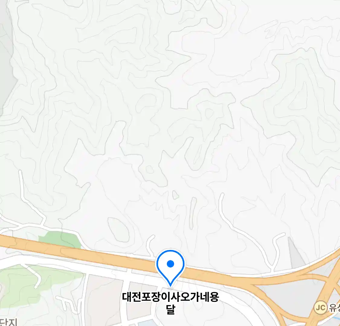대전포장이사오가네용달