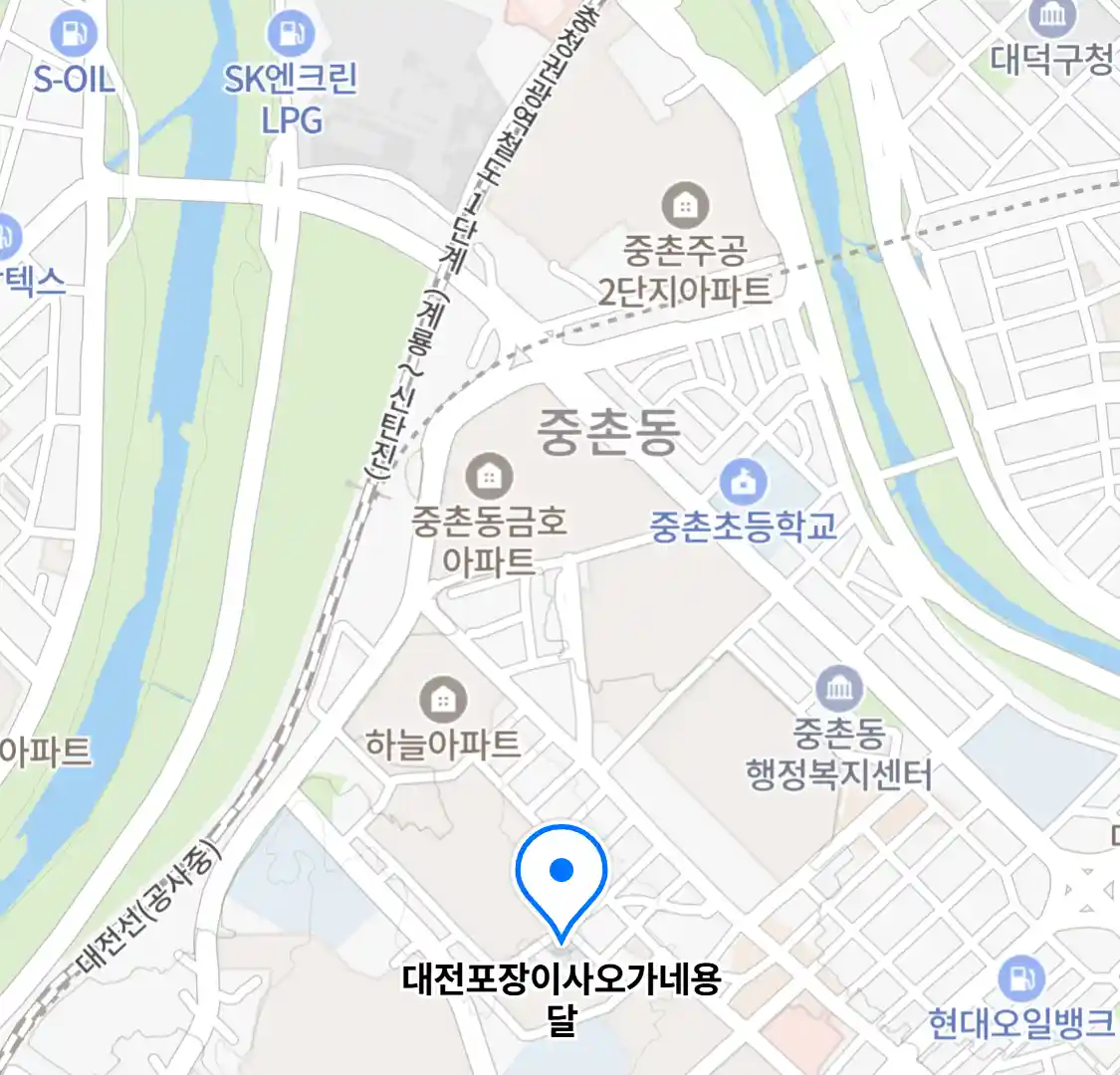 대전포장이사오가네용달