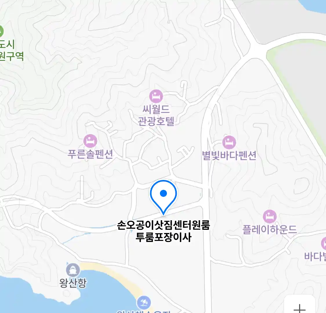 손오공이삿짐센터원룸투룸포장이사