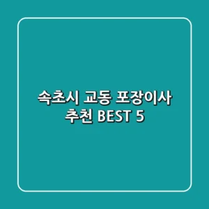 속초시 교동 포장이사 추천 BEST 5