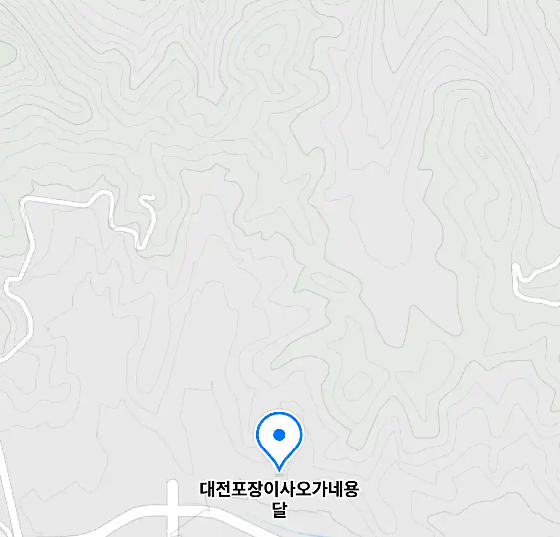 대전포장이사오가네용달