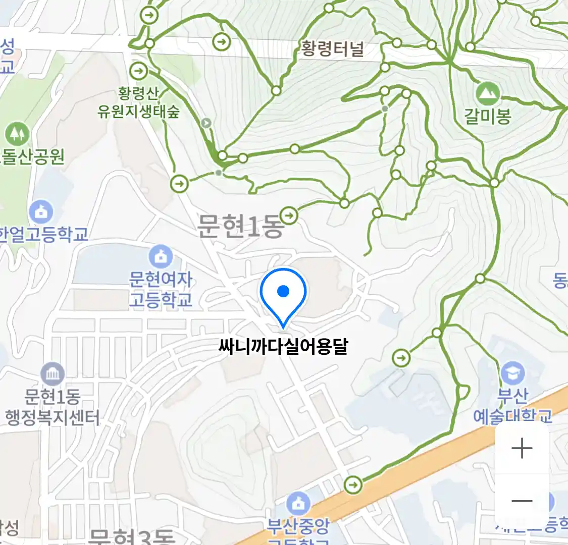 싸니까다실어용달