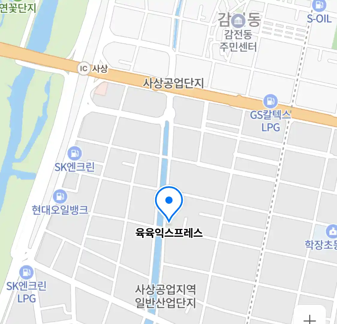 육육익스프레스