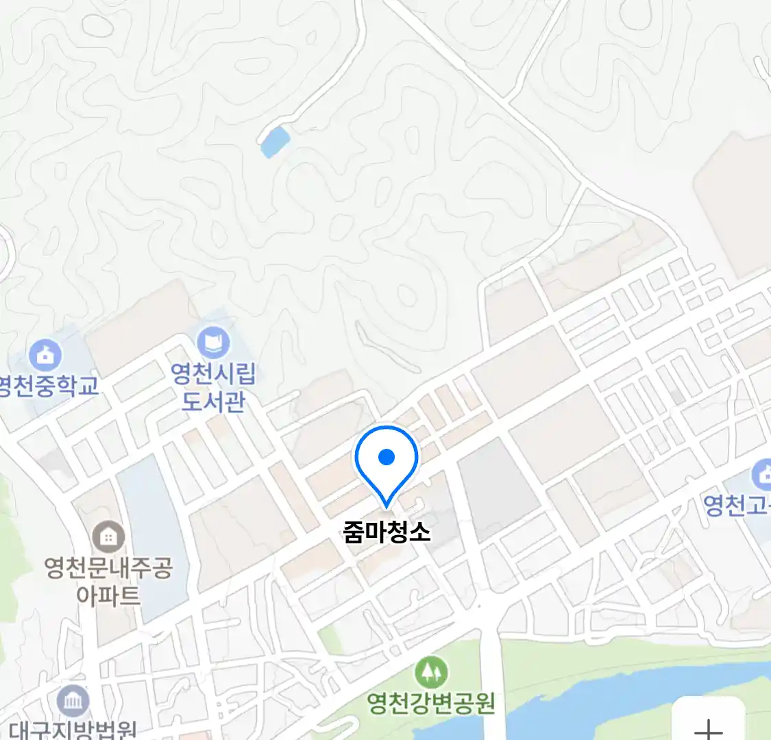 줌마청소