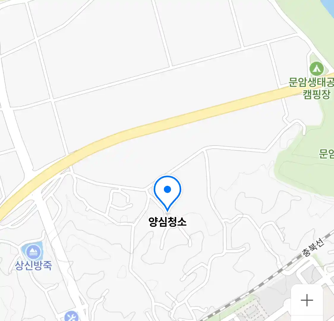 양심청소