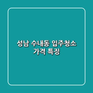 성남 수내동 입주청소 가격, 특징