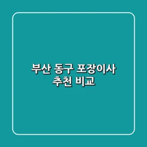 부산 동구 포장이사 추천 비교