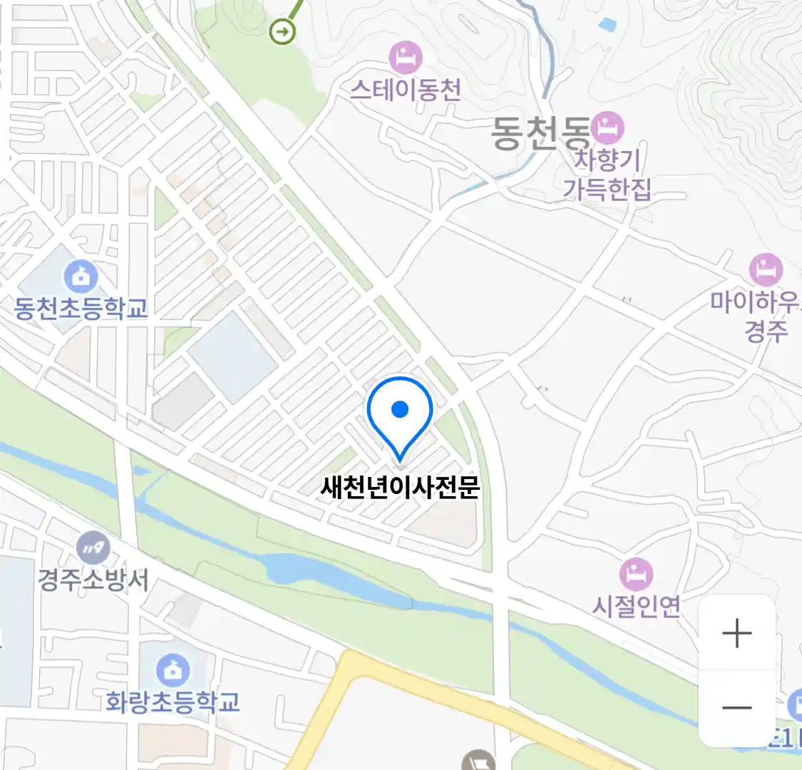 새천년이사전문