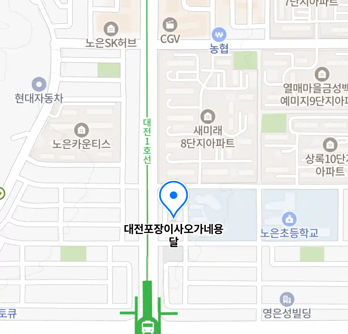 대전포장이사오가네용달