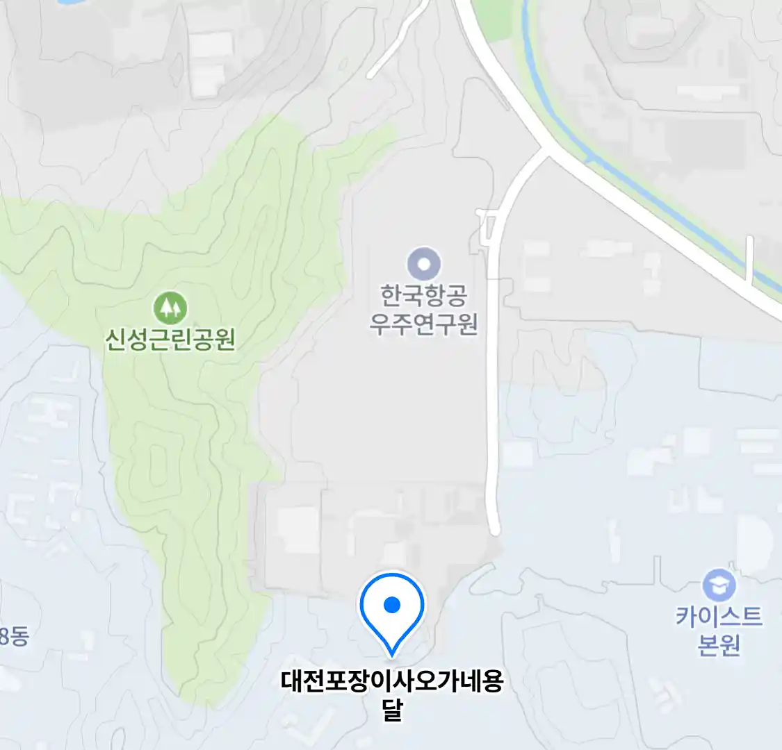 대전포장이사오가네용달