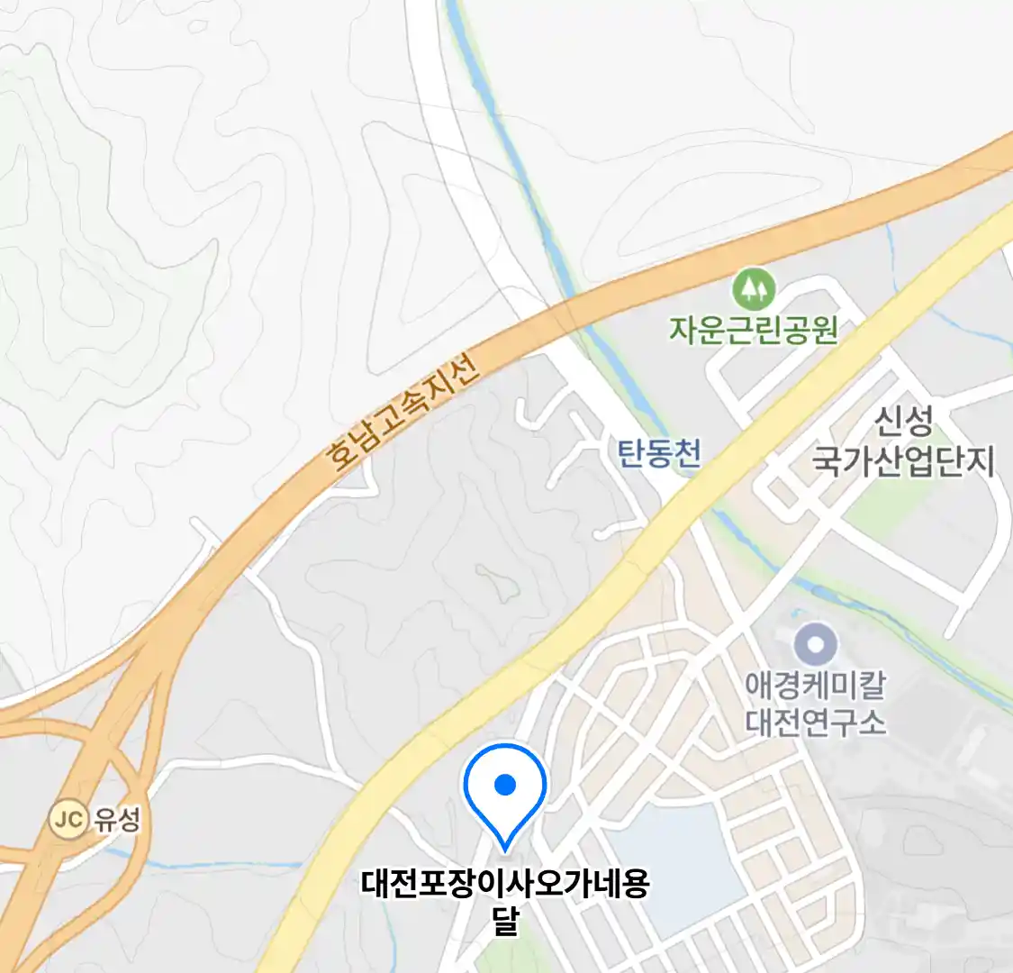 대전포장이사오가네용달
