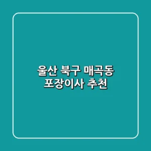 울산 북구 매곡동 포장이사 추천