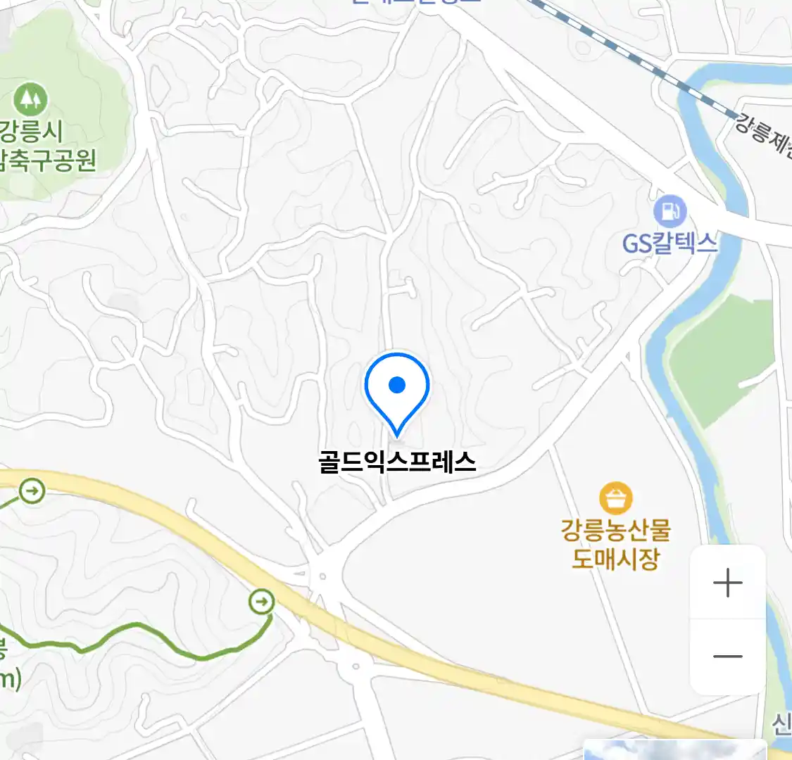 골드익스프레스
