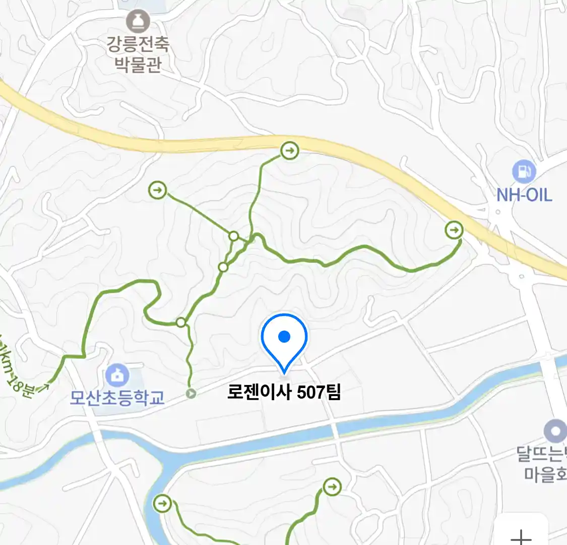 로젠이사 507팀
