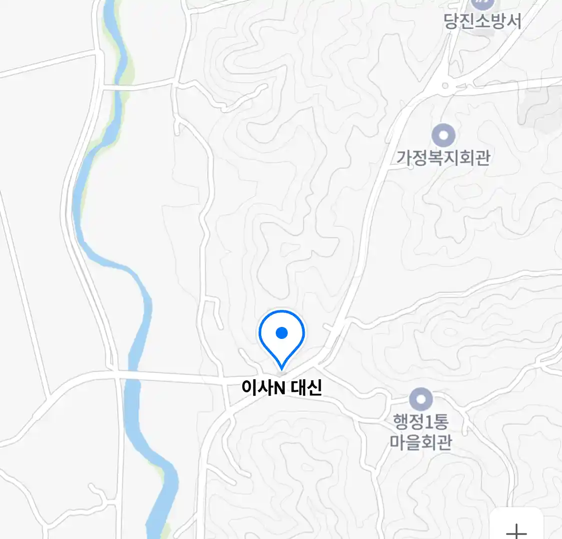 이사N 대신