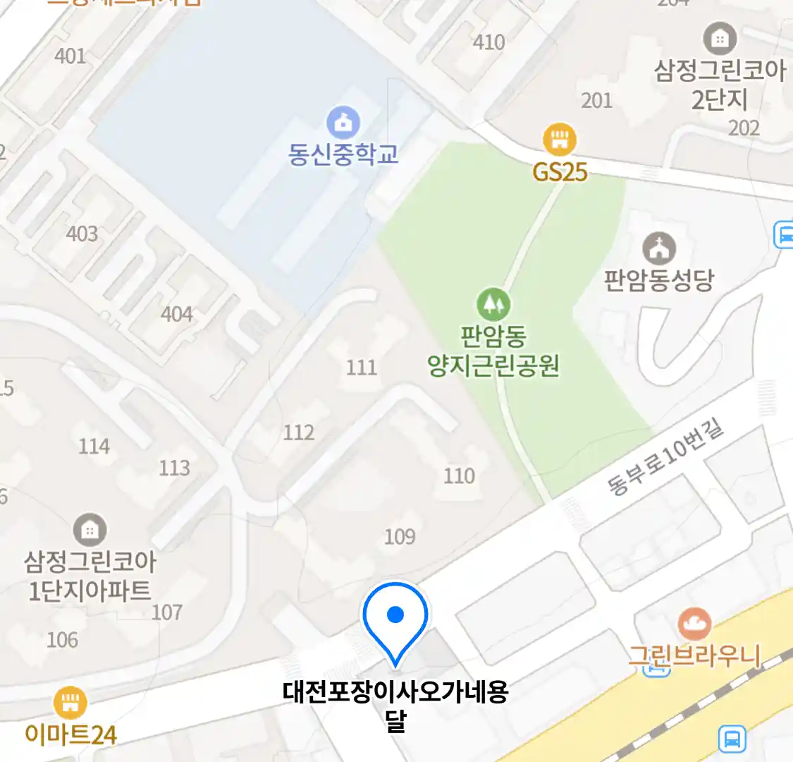 대전포장이사오가네용달
