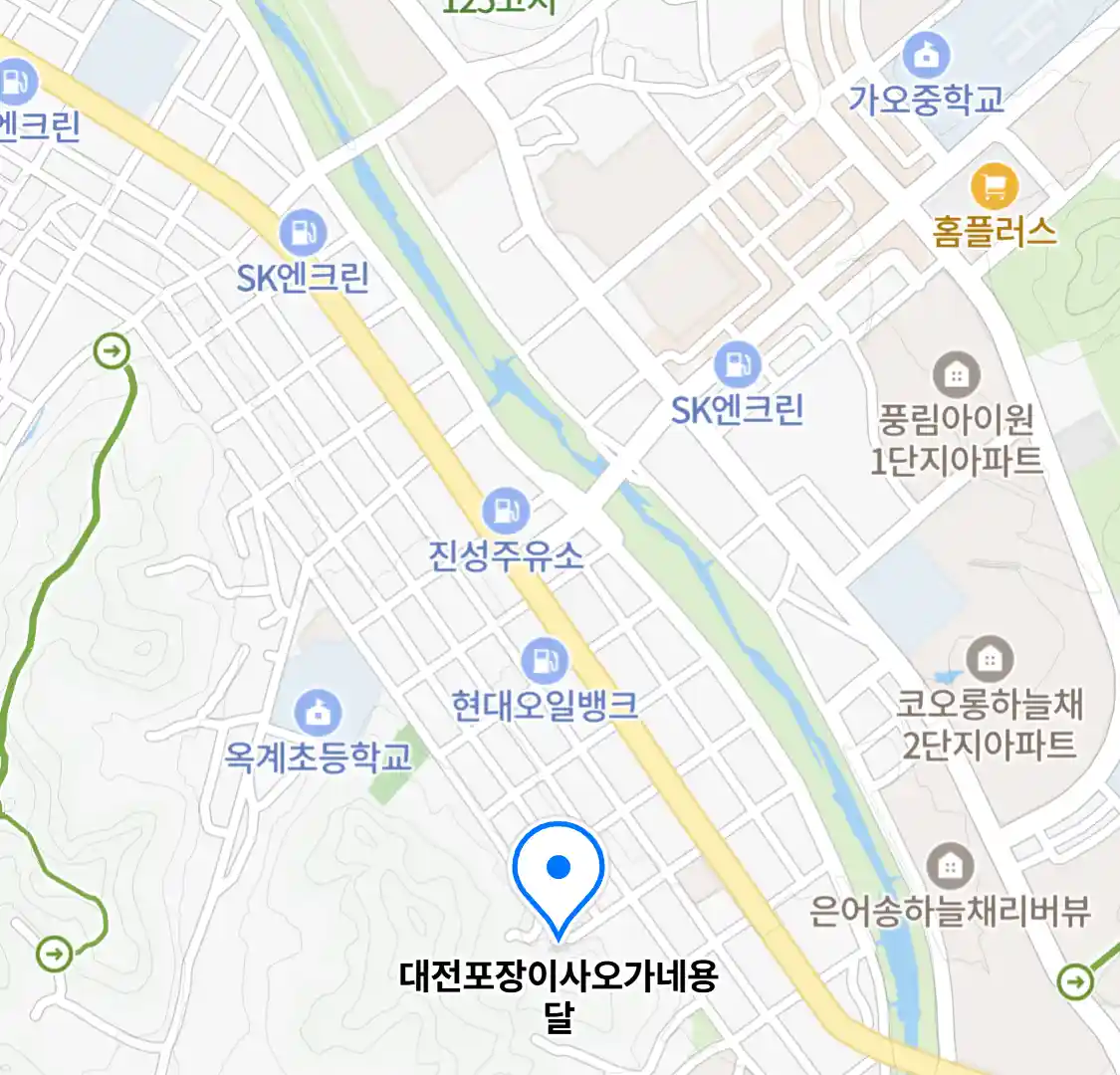 대전포장이사오가네용달