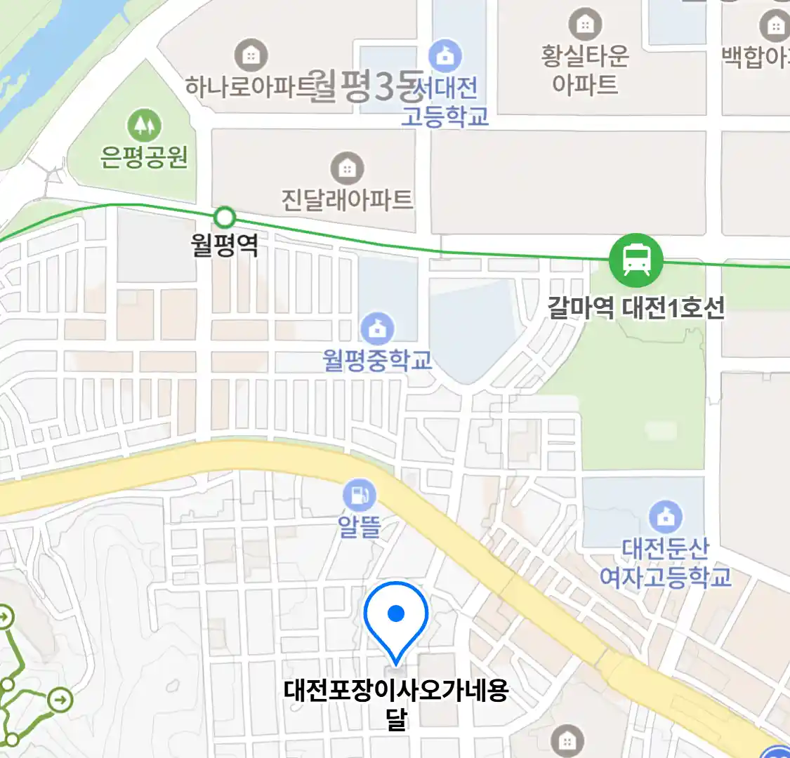 대전포장이사오가네용달