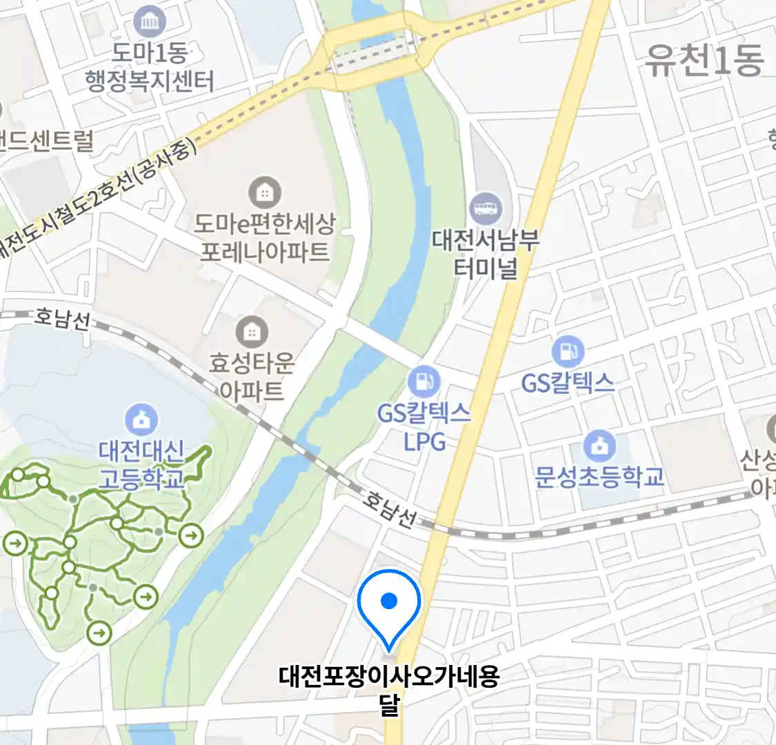 대전포장이사오가네용달