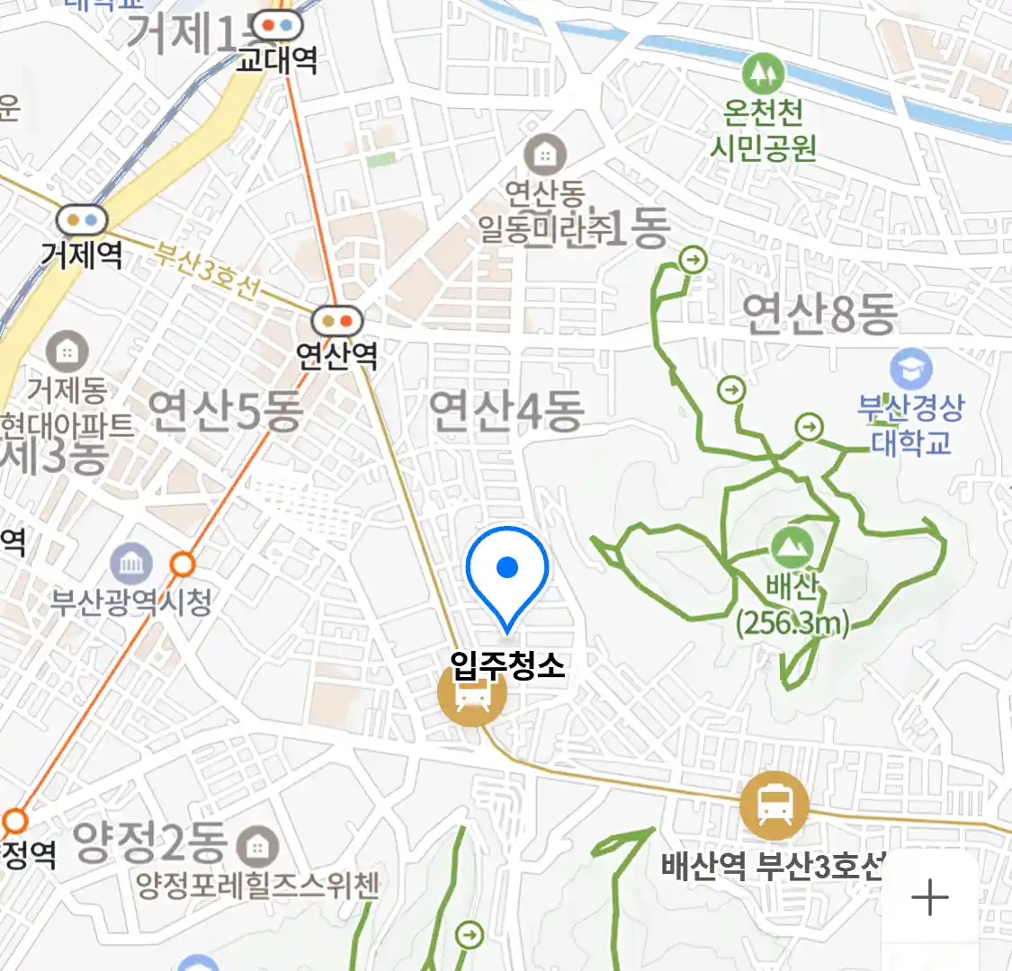 입주청소