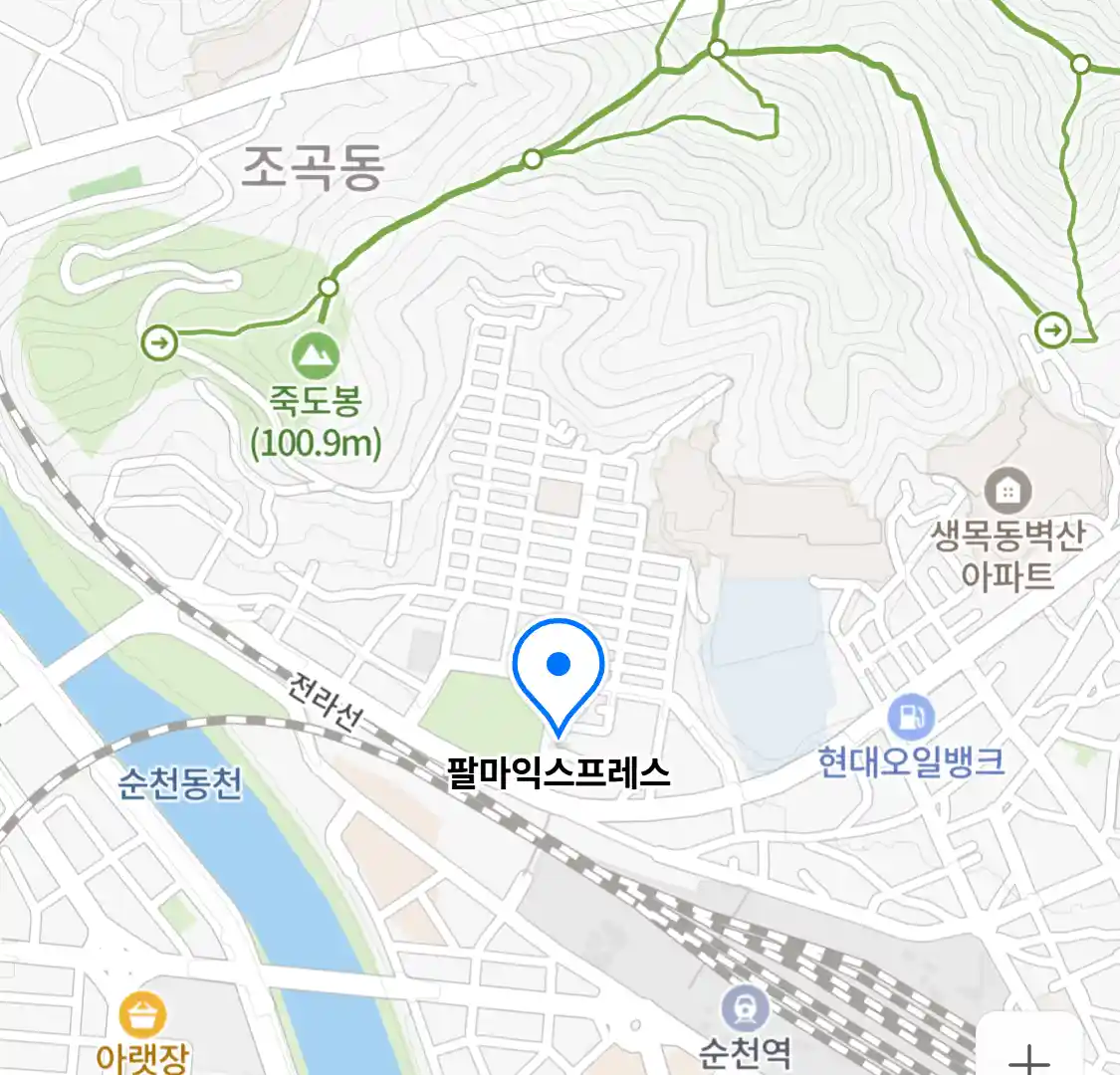 팔마익스프레스