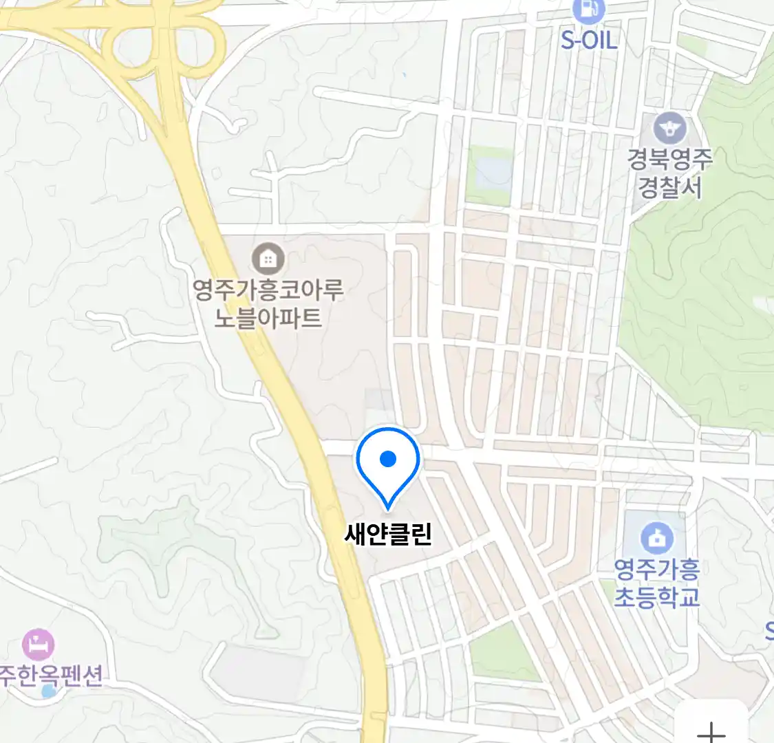 새얀클린