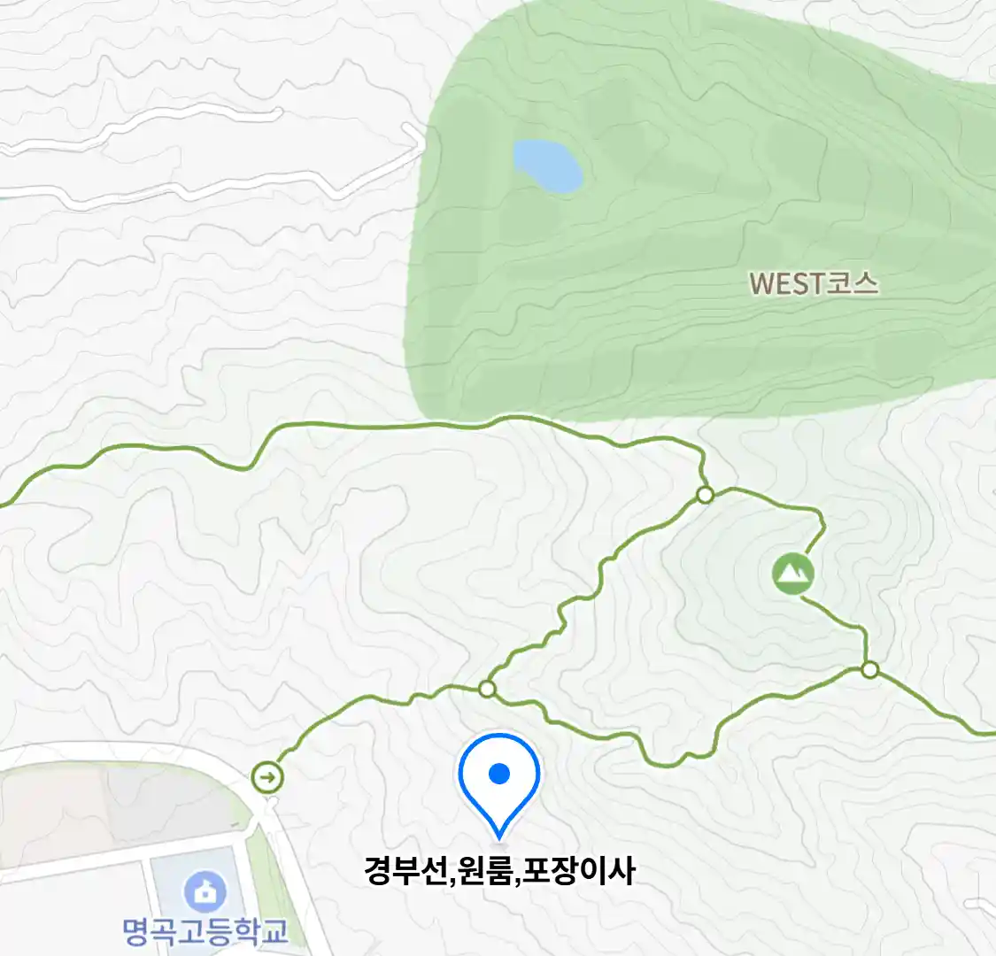 경부선,원룸,포장이사