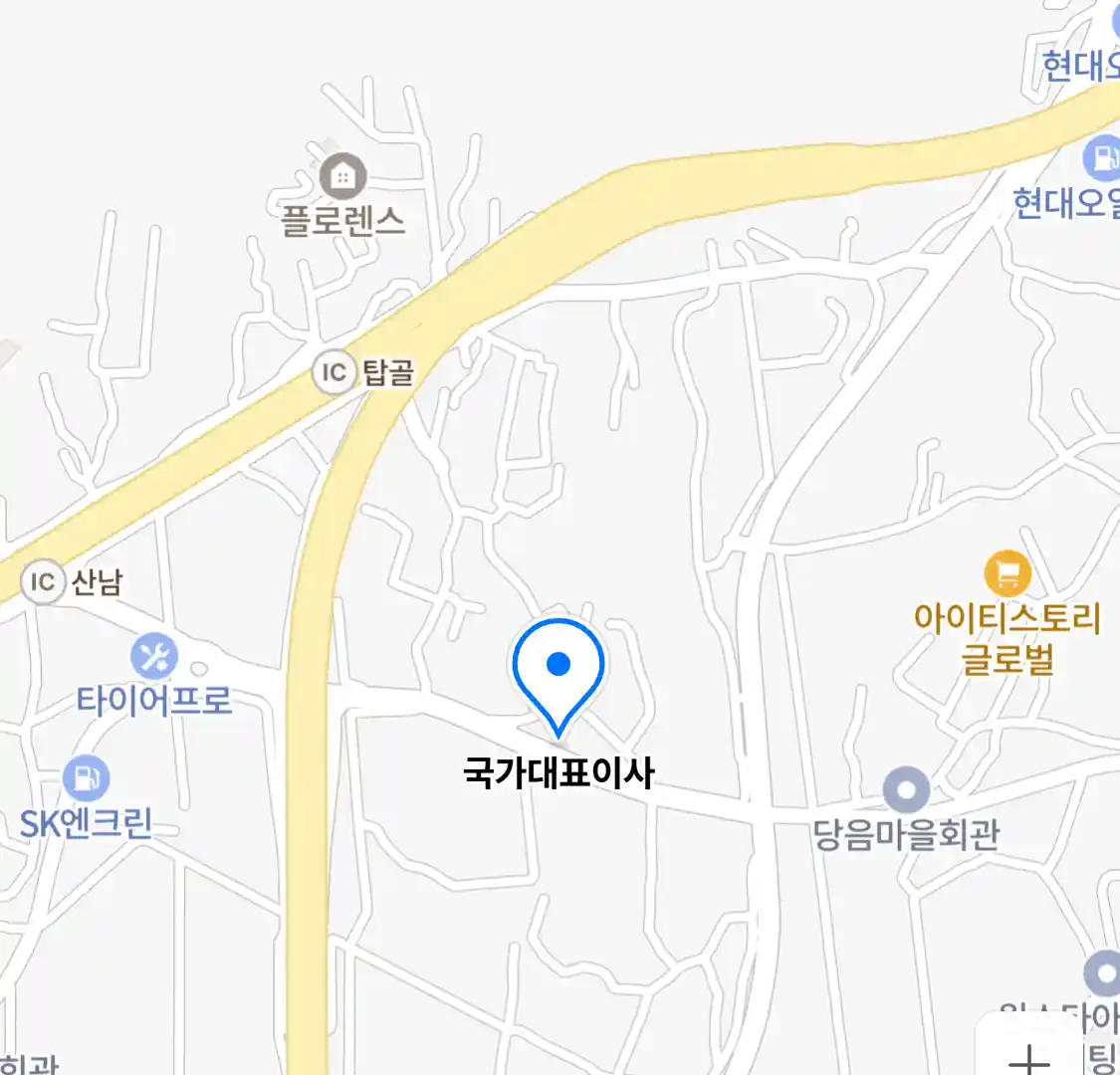 국가대표이사