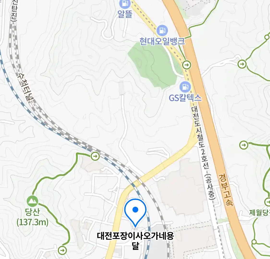 대전포장이사오가네용달