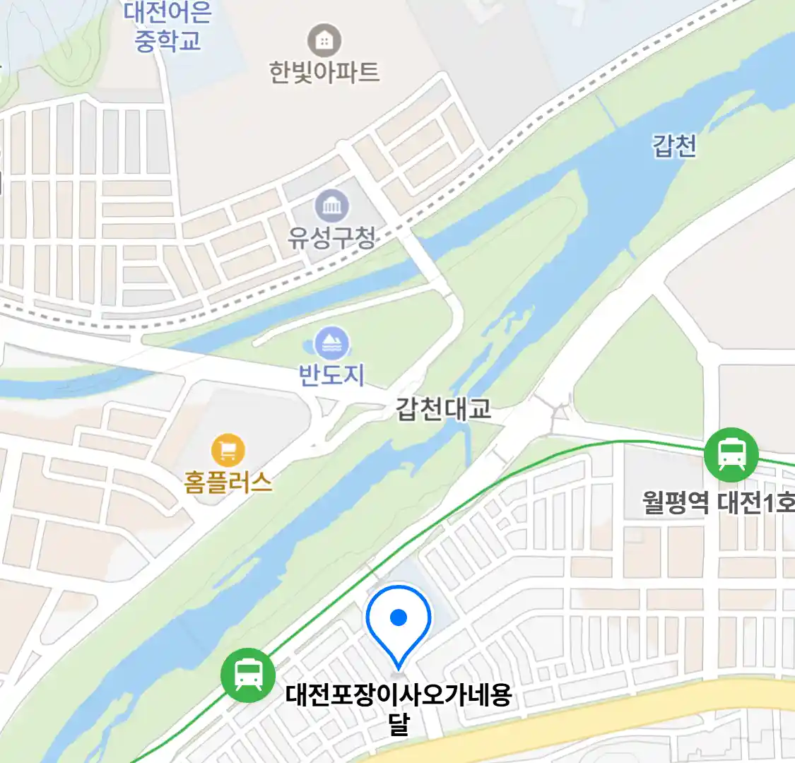대전포장이사오가네용달