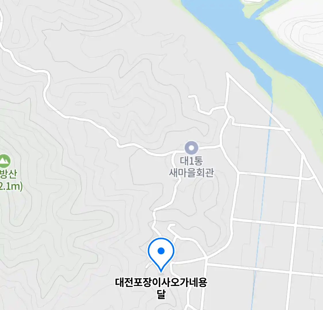 대전포장이사오가네용달