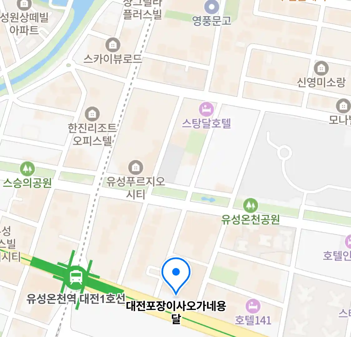 대전포장이사오가네용달