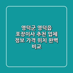 영덕군 영덕읍 포장이사 추천 - 업체 정보, 가격, 위치 완벽 비교