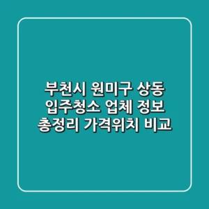 부천시 원미구 상동 입주청소 업체 정보 총정리 - 가격/위치 비교