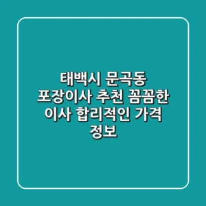 태백시 문곡동 포장이사 추천: 꼼꼼한 이사, 합리적인 가격 정보