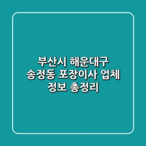 부산시 해운대구 송정동 포장이사 업체 정보 총정리