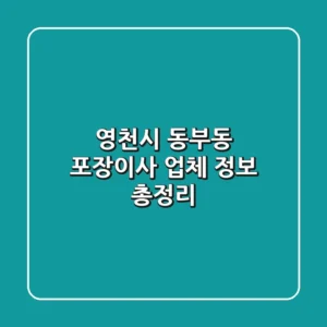 영천시 동부동 포장이사 업체 정보 총정리