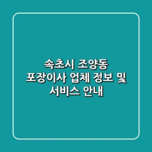 속초시 조양동 포장이사 업체 정보 및 서비스 안내