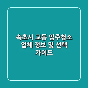 속초시 교동 입주청소 업체 정보 및 선택 가이드