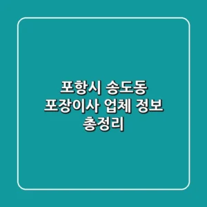 포항시 송도동 포장이사 업체 정보 총정리