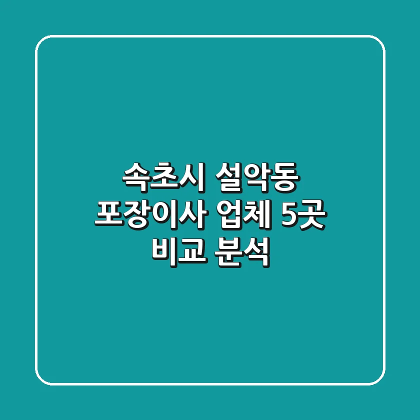 속초시 설악동 포장이사 업체 5곳 비교 분석