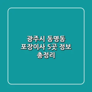광주시 동명동 포장이사 5곳 정보 총정리