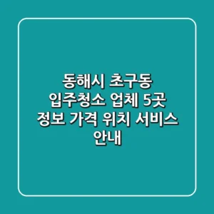 동해시 초구동 입주청소 업체 5곳 정보 - 가격, 위치, 서비스 안내