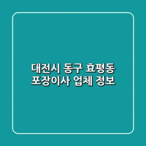 대전시 동구 효평동 포장이사 업체 정보