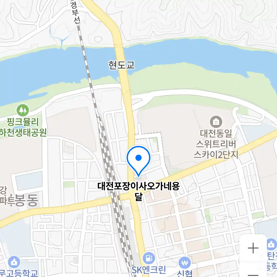 대전포장이사오가네용달 위치