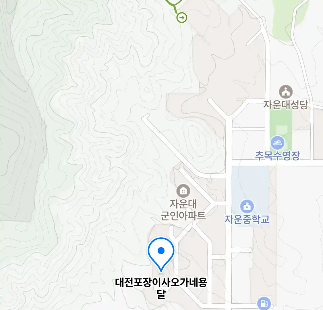 대전포장이사오가네용달 위치