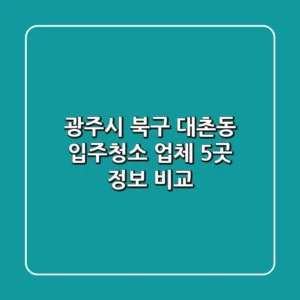 광주시 북구 대촌동 입주청소 업체 5곳 정보 비교