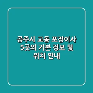 공주시 교동 포장이사, 5곳의 기본 정보 및 위치 안내