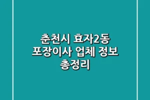춘천시 효자2동 포장이사 업체 정보 총정리